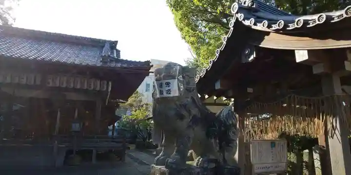 大井神社の狛犬