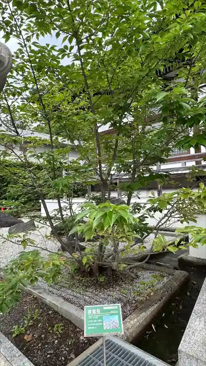 龍宝寺(宮城県)