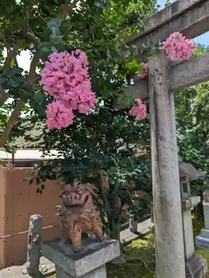 城興寺(京都府)