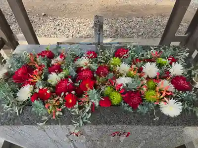 長沼八幡宮(栃木県)