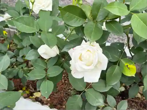 五大堂同聚院(京都府)