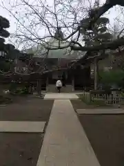 極楽寺（霊鷲山感應院極楽律寺）(神奈川県)