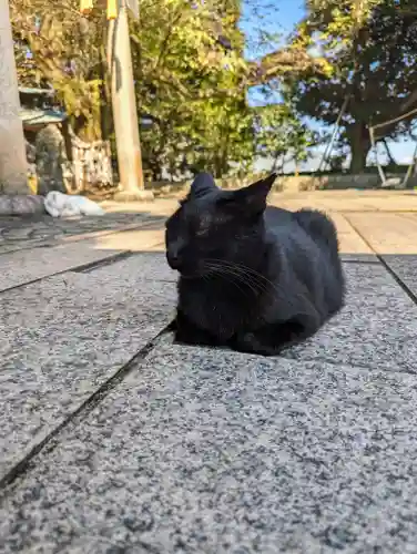 王子神社(徳島県)