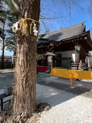 草加神社(埼玉県)