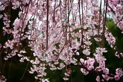 熊野福藏神社の自然