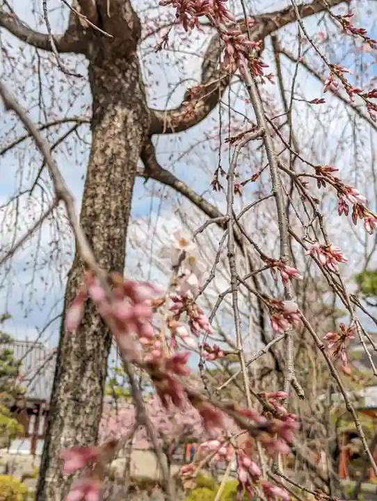 蓮華王院(三十三間堂)(京都府)