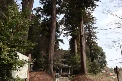 荒橿神社(栃木県)