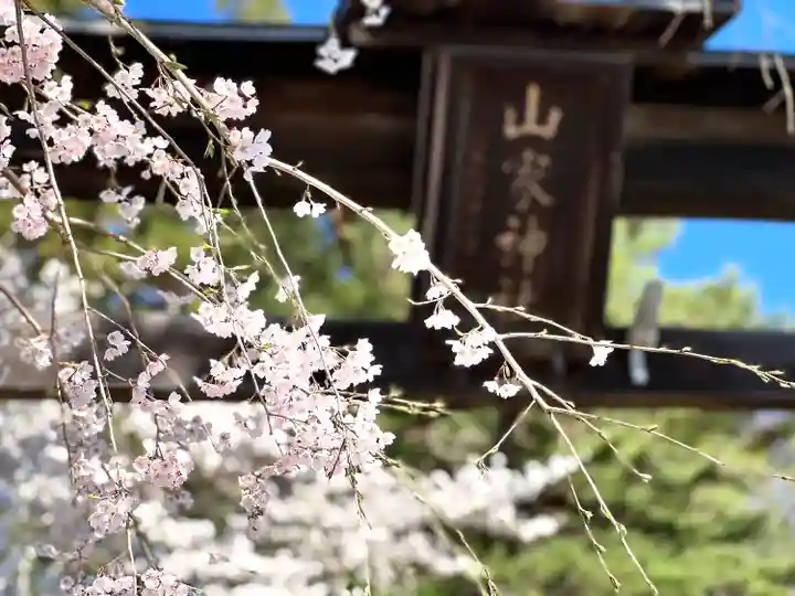 山家神社の自然