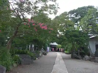 観音寺(埼玉県)