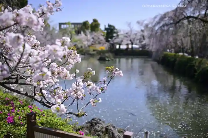 三嶋大社(静岡県)