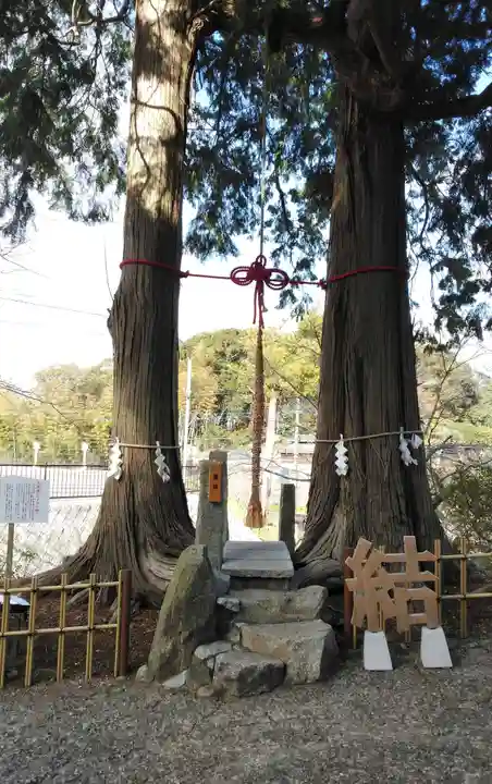 武雄神社の自然