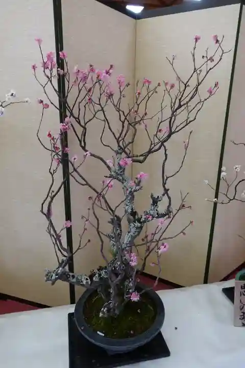 菅原天満宮(菅原神社)(奈良県)