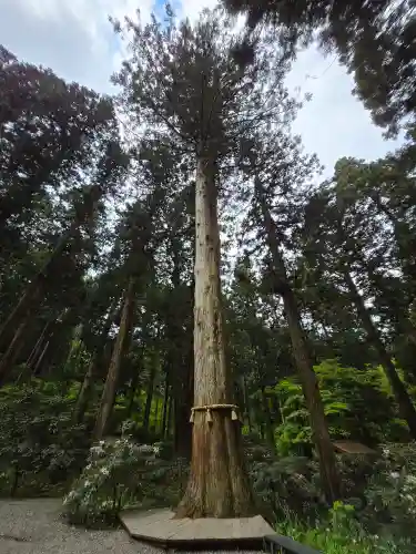御岩神社(茨城県)