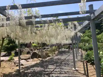 金蛇水神社の{uncategorized: "未分類", other: "その他", undefined: "問題あり", building: "その他建物", grave: "お墓", sacred_gate: "鳥居", guardian: "狛犬", statue: "像", buddha: "仏像", history: "歴史", nature: "自然", garden: "庭園", animal: "動物", pagoda: "塔", temizu: "手水舎", mountain_gate: "山門・神門", sanctuary: "本殿・本堂", subordinate: "末社・摂社", art: "芸術", scenery: "景色", jizo: "地蔵", ema: "絵馬", goshuin: "御朱印", omikuji: "おみくじ", items: "授与品その他", amulet: "お守り", goshuincho: "御朱印帳", eats: "食事", festival: "お祭り", votive_dance: "神楽", shichigosan: "七五三参", wedding: "結婚式", experience: "体験その他", initially: "初詣", around: "周辺", anti_infection: "感染症対策"}