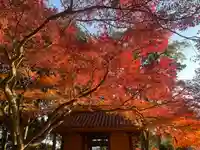 大興善寺(佐賀県)