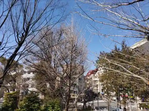 鳩森八幡神社(東京都)