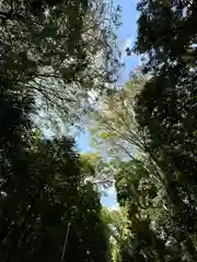 大和神社(奈良県)