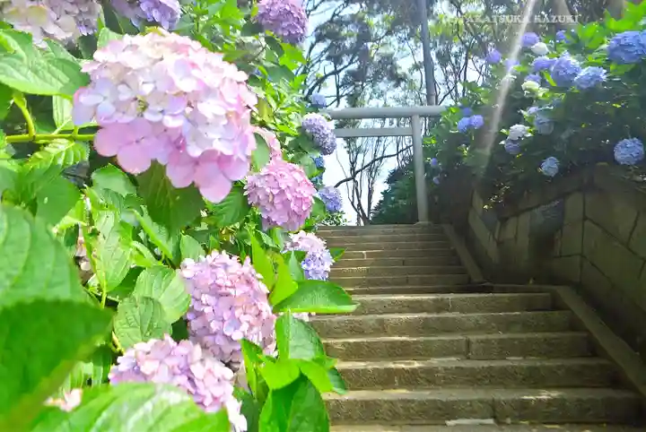 酒列磯前神社(茨城県)