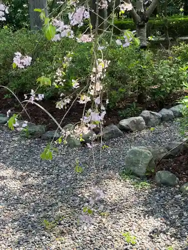 國吉神社(千葉県)