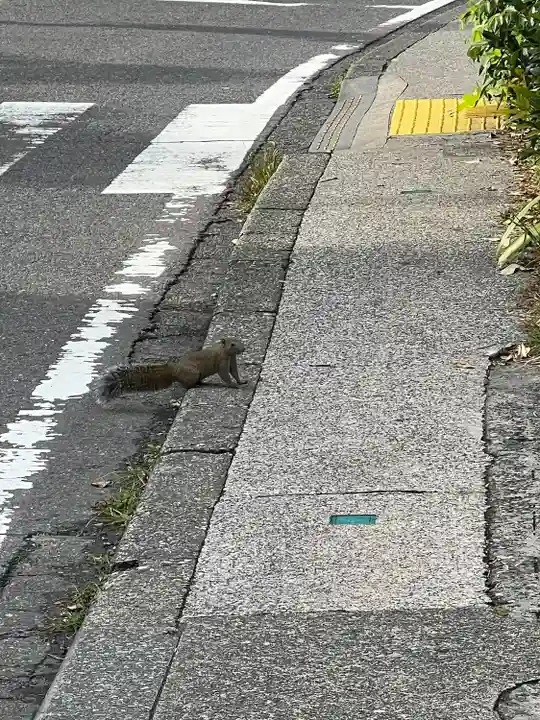 明月院(神奈川県)