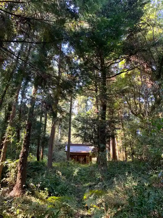 山王大権現(千葉県)