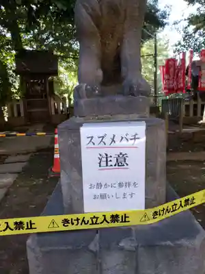 諏訪神社(東京都)