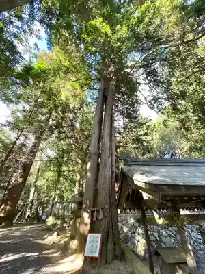 西山春日神社(三重県)