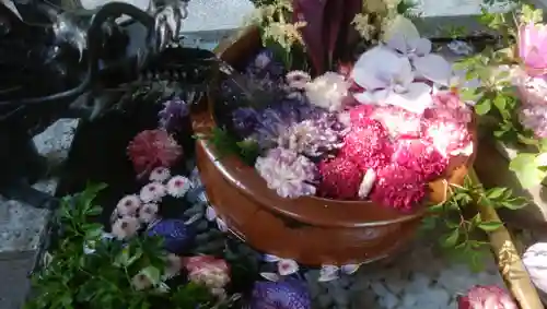 札幌護國神社の手水