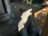 宇志比古神社 宇志比賣神社(徳島県)