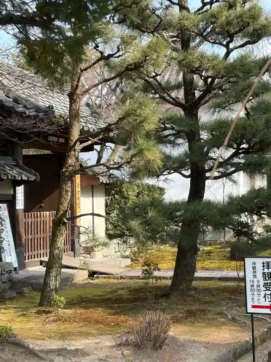 法金剛院の{uncategorized: "未分類", other: "その他", undefined: "問題あり", building: "その他建物", grave: "お墓", sacred_gate: "鳥居", guardian: "狛犬", statue: "像", buddha: "仏像", history: "歴史", nature: "自然", garden: "庭園", animal: "動物", pagoda: "塔", temizu: "手水舎", mountain_gate: "山門・神門", sanctuary: "本殿・本堂", subordinate: "末社・摂社", art: "芸術", scenery: "景色", jizo: "地蔵", ema: "絵馬", goshuin: "御朱印", omikuji: "おみくじ", items: "授与品その他", amulet: "お守り", goshuincho: "御朱印帳", eats: "食事", festival: "お祭り", votive_dance: "神楽", shichigosan: "七五三参", wedding: "結婚式", experience: "体験その他", initially: "初詣", around: "周辺", anti_infection: "感染症対策"}