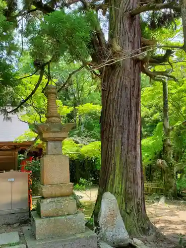 太山寺の塔