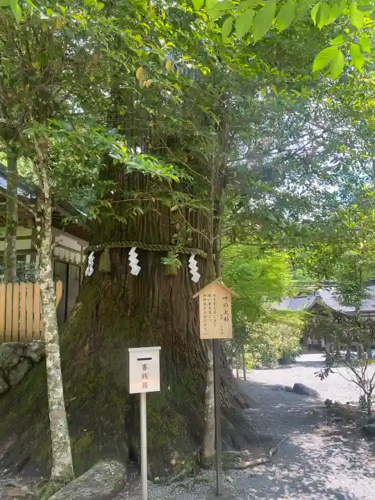 丹生川上神社(中社)の{uncategorized: "未分類", other: "その他", undefined: "問題あり", building: "その他建物", grave: "お墓", sacred_gate: "鳥居", guardian: "狛犬", statue: "像", buddha: "仏像", history: "歴史", nature: "自然", garden: "庭園", animal: "動物", pagoda: "塔", temizu: "手水舎", mountain_gate: "山門・神門", sanctuary: "本殿・本堂", subordinate: "末社・摂社", art: "芸術", scenery: "景色", jizo: "地蔵", ema: "絵馬", goshuin: "御朱印", omikuji: "おみくじ", items: "授与品その他", amulet: "お守り", goshuincho: "御朱印帳", eats: "食事", festival: "お祭り", votive_dance: "神楽", shichigosan: "七五三参", wedding: "結婚式", experience: "体験その他", initially: "初詣", around: "周辺", anti_infection: "感染症対策"}