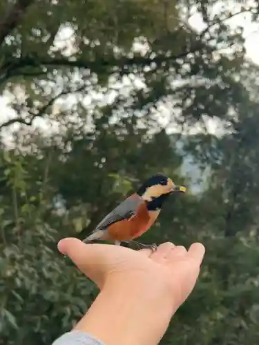 金刀比羅宮の{uncategorized: "未分類", other: "その他", undefined: "問題あり", building: "その他建物", grave: "お墓", sacred_gate: "鳥居", guardian: "狛犬", statue: "像", buddha: "仏像", history: "歴史", nature: "自然", garden: "庭園", animal: "動物", pagoda: "塔", temizu: "手水舎", mountain_gate: "山門・神門", sanctuary: "本殿・本堂", subordinate: "末社・摂社", art: "芸術", scenery: "景色", jizo: "地蔵", ema: "絵馬", goshuin: "御朱印", omikuji: "おみくじ", items: "授与品その他", amulet: "お守り", goshuincho: "御朱印帳", eats: "食事", festival: "お祭り", votive_dance: "神楽", shichigosan: "七五三参", wedding: "結婚式", experience: "体験その他", initially: "初詣", around: "周辺", anti_infection: "感染症対策"}