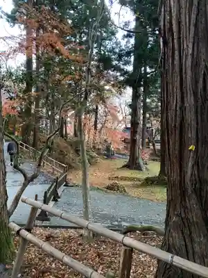 中尊寺のその他建物