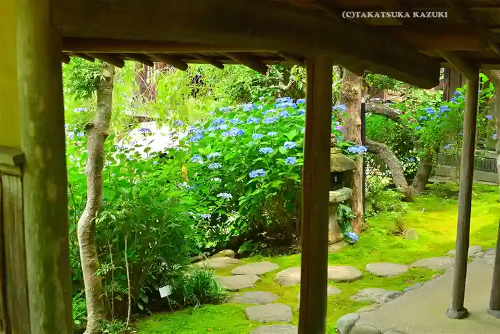 円覚寺(神奈川県)