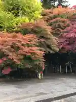 水澤寺(水澤観世音)の自然