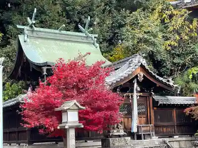 大宮若松神社(滋賀県)