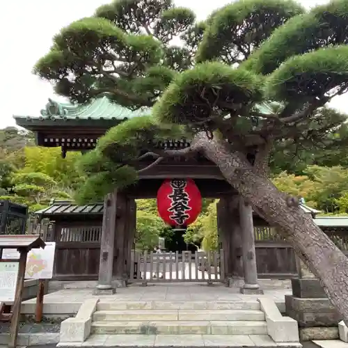 長谷寺の山門・神門
