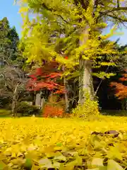 土津神社｜こどもと出世の神さまの自然