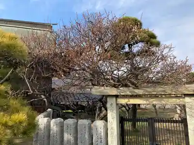 曽根天満宮のその他建物