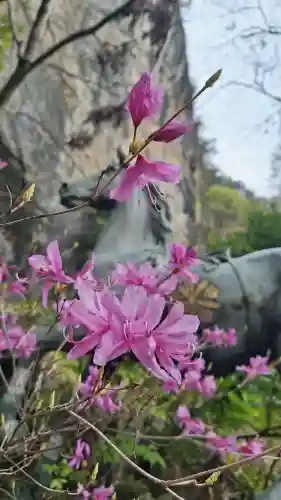 橋立堂の{uncategorized: "未分類", other: "その他", undefined: "問題あり", building: "その他建物", grave: "お墓", sacred_gate: "鳥居", guardian: "狛犬", statue: "像", buddha: "仏像", history: "歴史", nature: "自然", garden: "庭園", animal: "動物", pagoda: "塔", temizu: "手水舎", mountain_gate: "山門・神門", sanctuary: "本殿・本堂", subordinate: "末社・摂社", art: "芸術", scenery: "景色", jizo: "地蔵", ema: "絵馬", goshuin: "御朱印", omikuji: "おみくじ", items: "授与品その他", amulet: "お守り", goshuincho: "御朱印帳", eats: "食事", festival: "お祭り", votive_dance: "神楽", shichigosan: "七五三参", wedding: "結婚式", experience: "体験その他", initially: "初詣", around: "周辺", anti_infection: "感染症対策"}