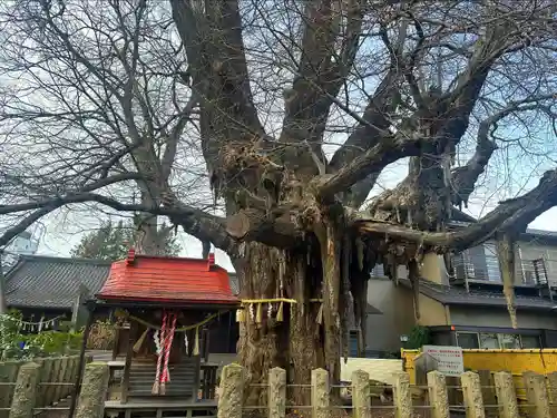 宮城野八幡神社(宮城県)