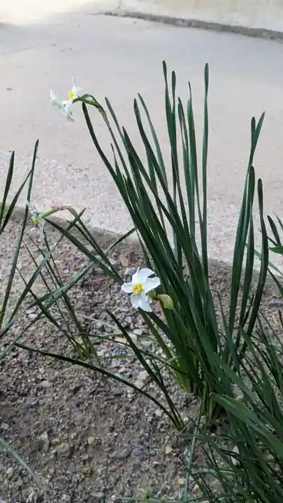 得浄明院(善光寺別院)(京都府)