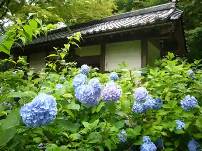 明月院のその他建物