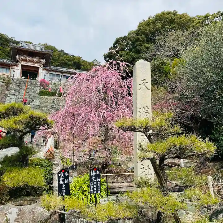 和歌浦天満宮(和歌山県)