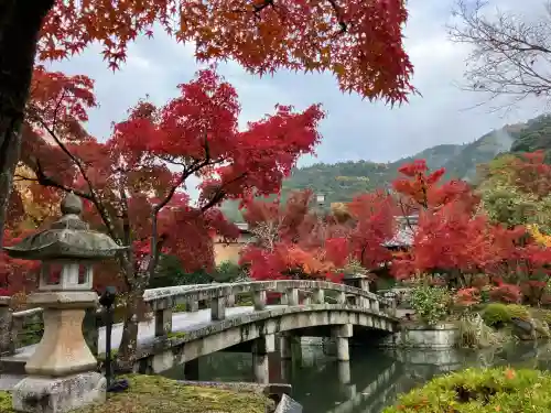 禅林寺（永観堂）(京都府)