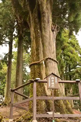 身延山奥之院思親閣(山梨県)