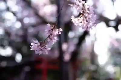 水火天満宮(京都府)