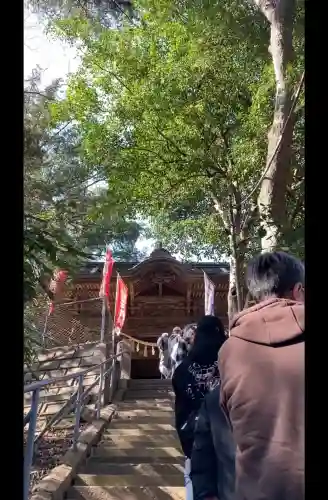 前玉神社の{uncategorized: "未分類", other: "その他", undefined: "問題あり", building: "その他建物", grave: "お墓", sacred_gate: "鳥居", guardian: "狛犬", statue: "像", buddha: "仏像", history: "歴史", nature: "自然", garden: "庭園", animal: "動物", pagoda: "塔", temizu: "手水舎", mountain_gate: "山門・神門", sanctuary: "本殿・本堂", subordinate: "末社・摂社", art: "芸術", scenery: "景色", jizo: "地蔵", ema: "絵馬", goshuin: "御朱印", omikuji: "おみくじ", items: "授与品その他", amulet: "お守り", goshuincho: "御朱印帳", eats: "食事", festival: "お祭り", votive_dance: "神楽", shichigosan: "七五三参", wedding: "結婚式", experience: "体験その他", initially: "初詣", around: "周辺", anti_infection: "感染症対策"}