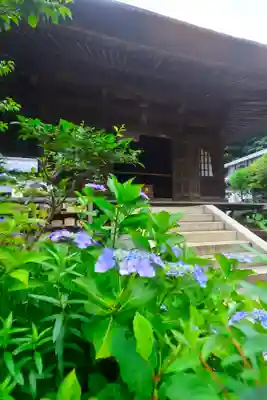 円覚寺(神奈川県)